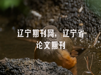 辽宁期刊网,辽宁省论文期刊