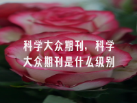 学术会议在线