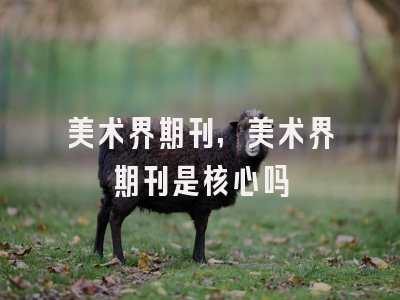 美术界期刊,美术界期刊是核心吗