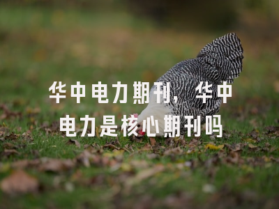 华中电力期刊,华中电力是核心期刊吗