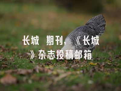长城 期刊,《长城》杂志投稿邮箱