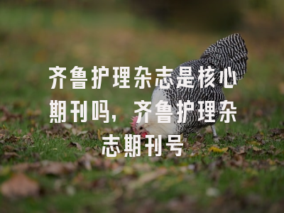 齐鲁护理杂志是核心期刊吗,齐鲁护理杂志期刊号