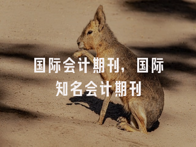 国际会计期刊,国际知名会计期刊