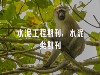 水泥工程期刊,水泥类期刊