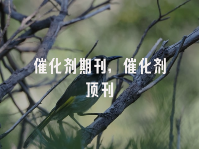 催化剂期刊,催化剂顶刊