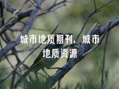 城市地质期刊,城市地质资源