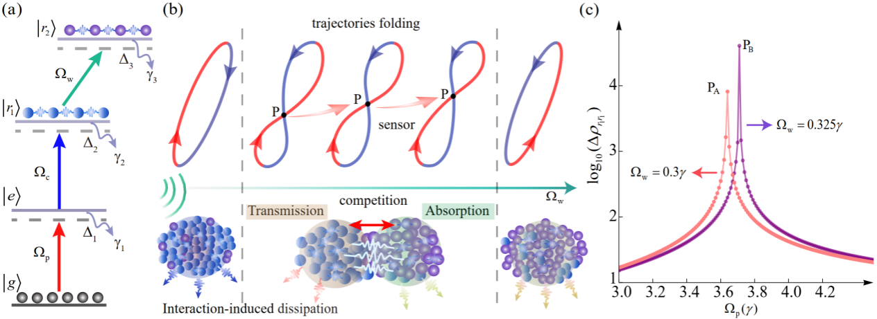 中国科大在冷里德堡原子气体中实现了超越标准量子极限的微波测量