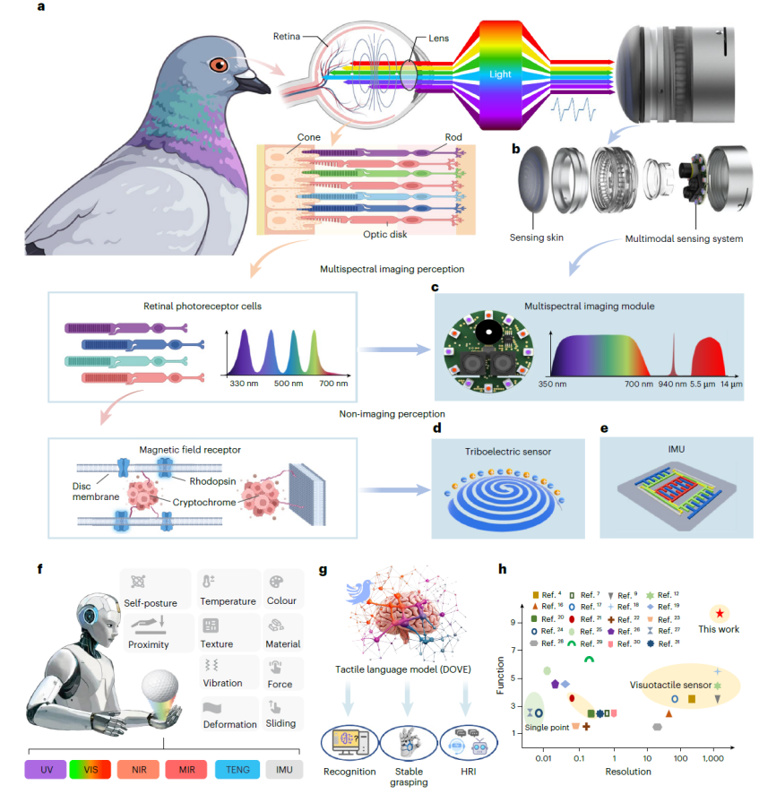 清华大学深圳国际研究生院丁文伯团队合作在多模态高分辨率触觉传感器研发领域取得新进展