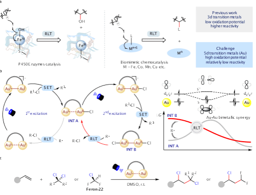 南京大学化学学院谢劲团队：激发态双核金催化的自由基配体转移反应