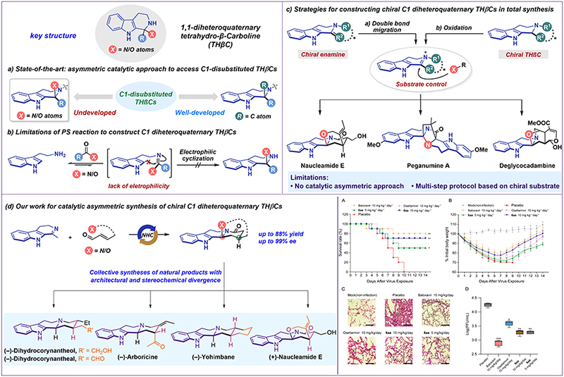 中国海洋大学在手性氮杂环的不对称催化构建及应用研究领域取得新进展