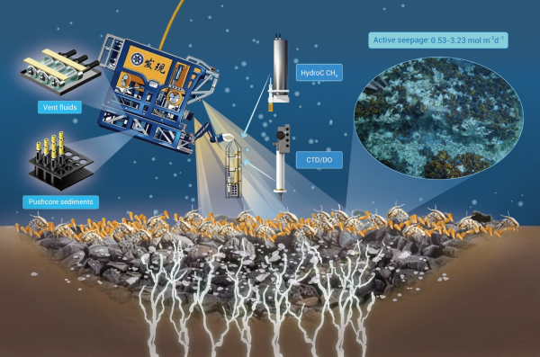 研究揭示深海冷泉甲烷通量被严重低估