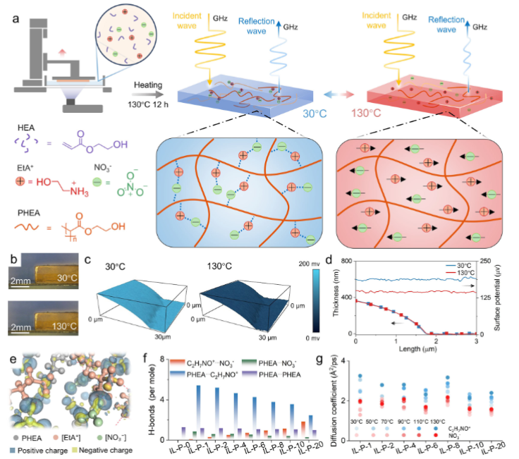 电子科技大学电子学院博士生在Nature Communications发表研究成果