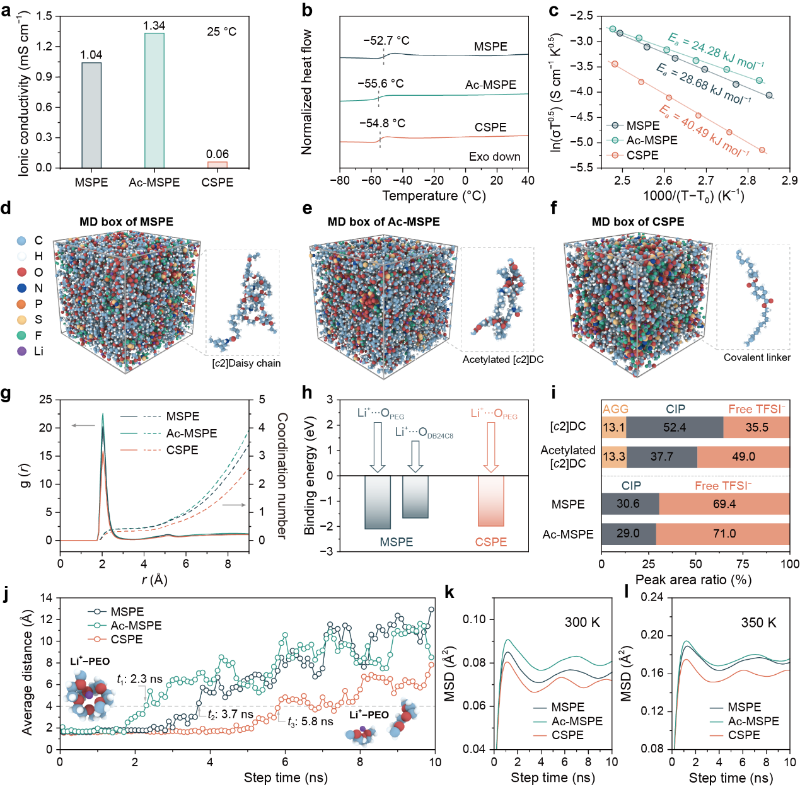 上海交大变革性分子前沿科学中心梁正/化院颜徐州课题组成功构筑具有机械互锁网络结构的分子肌肉型固态聚合物电解质