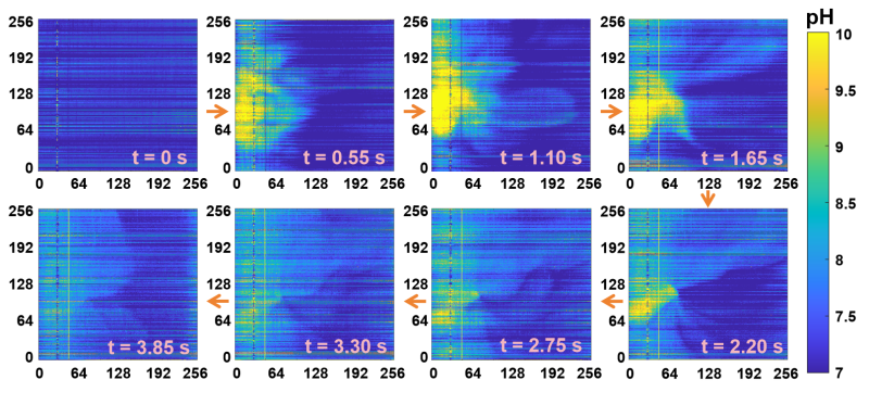 上海交大集成电路学院4篇研究论文入选IEDM 2025大会