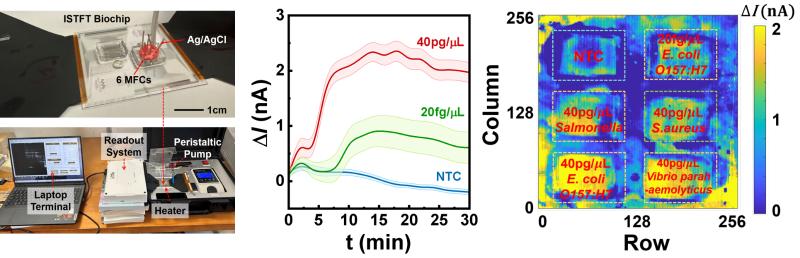 上海交大集成电路学院4篇研究论文入选IEDM 2025大会