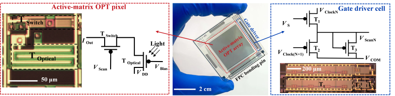 上海交大集成电路学院4篇研究论文入选IEDM 2025大会