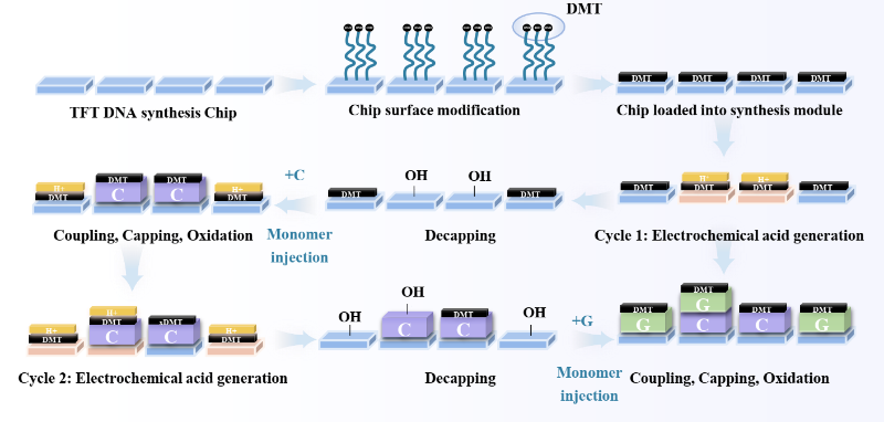 上海交大集成电路学院4篇研究论文入选IEDM 2025大会
