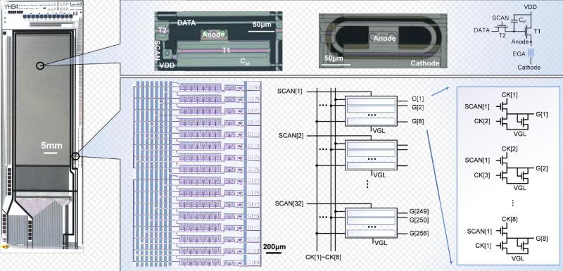 上海交大集成电路学院4篇研究论文入选IEDM 2025大会