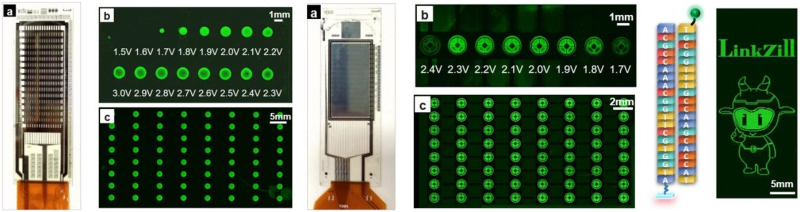 上海交大集成电路学院4篇研究论文入选IEDM 2025大会