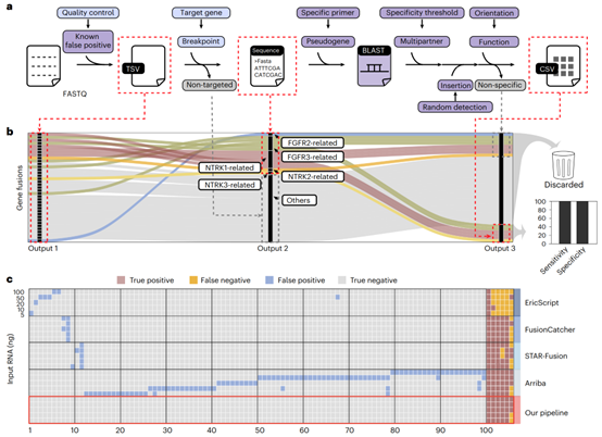 上海交大宋萍/国妇婴王玉东合作开发“随机引物锚定多重检测技术”一次锁定未知融合，精准助力肿瘤诊断