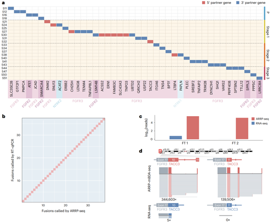 上海交大宋萍/国妇婴王玉东合作开发“随机引物锚定多重检测技术”一次锁定未知融合，精准助力肿瘤诊断
