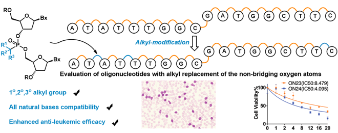 上海交大变革性分子前沿科学中心商明课题组实现光电协同催化赋能寡核苷酸可编程烷基骨架修饰