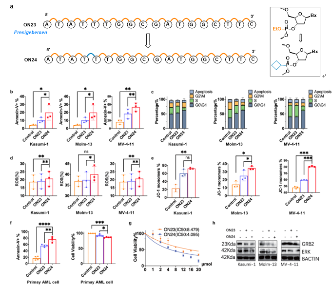 上海交大变革性分子前沿科学中心商明课题组实现光电协同催化赋能寡核苷酸可编程烷基骨架修饰