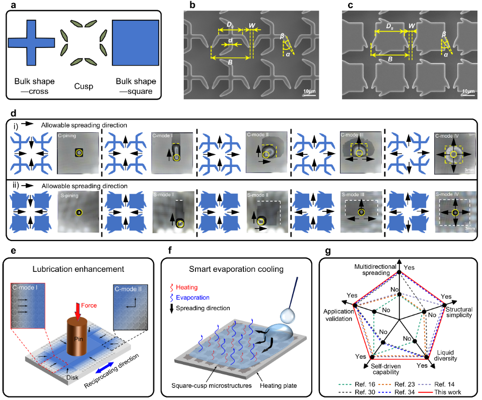西安交大张辉、董光能教授团队在液-固界面润湿调控领域取得重要进展