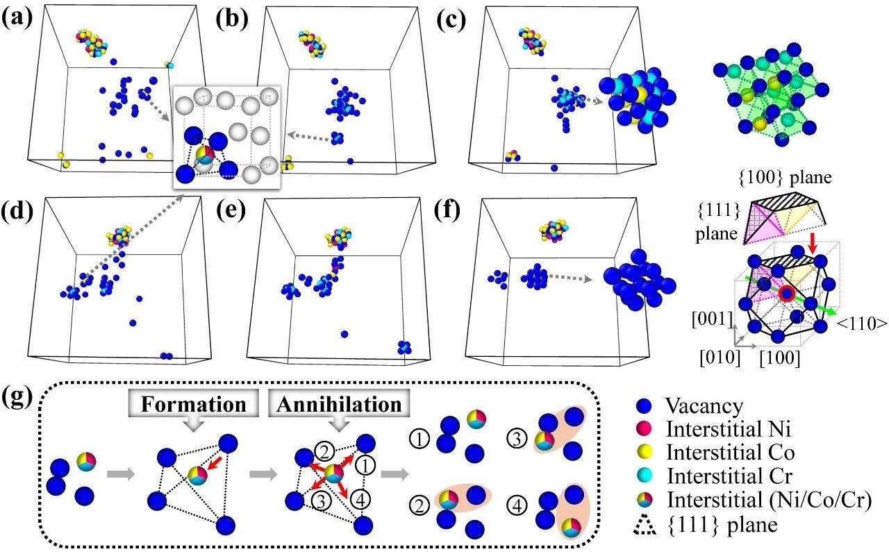西安交大卢晨阳教授在揭示原子尺度核材料缺陷演化规律方面取得新进展