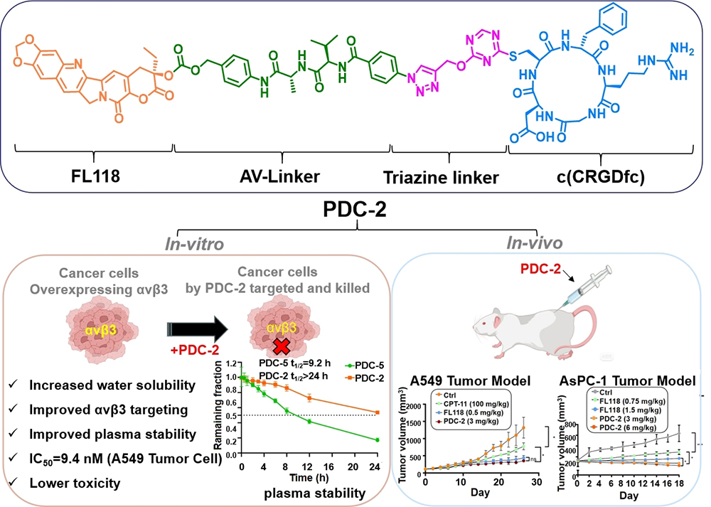 中国海洋大学在可调控三嗪化学探针及PDC靶向药物研发领域取得新进展