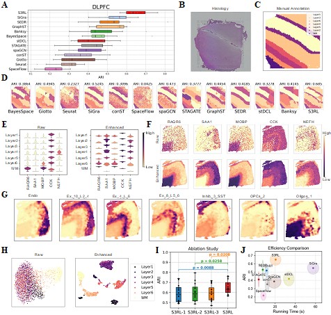 西安交大-西农联合团队提出空间转录组多模态融合智能解析框架S3RL