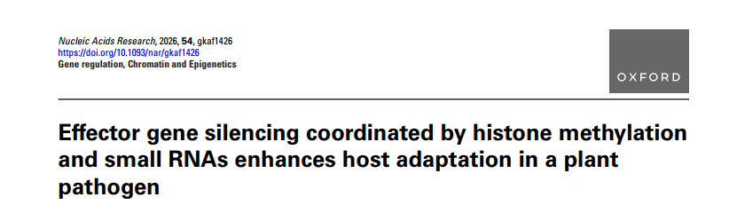 上海交大农业与生物学院侯英楠团队与合作者共同揭示大豆疫霉利用双重表观沉默机制实现免疫逃逸