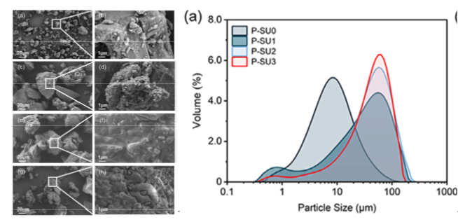 中国农业大学资环学院张福锁院士团队黄成东课题组在绿色智能肥料创新研究方面取得新进展