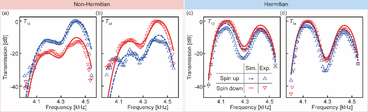 南京大学物理学院刘晓峻、程营课题组实现声学损耗引起的非厄米趋肤效应