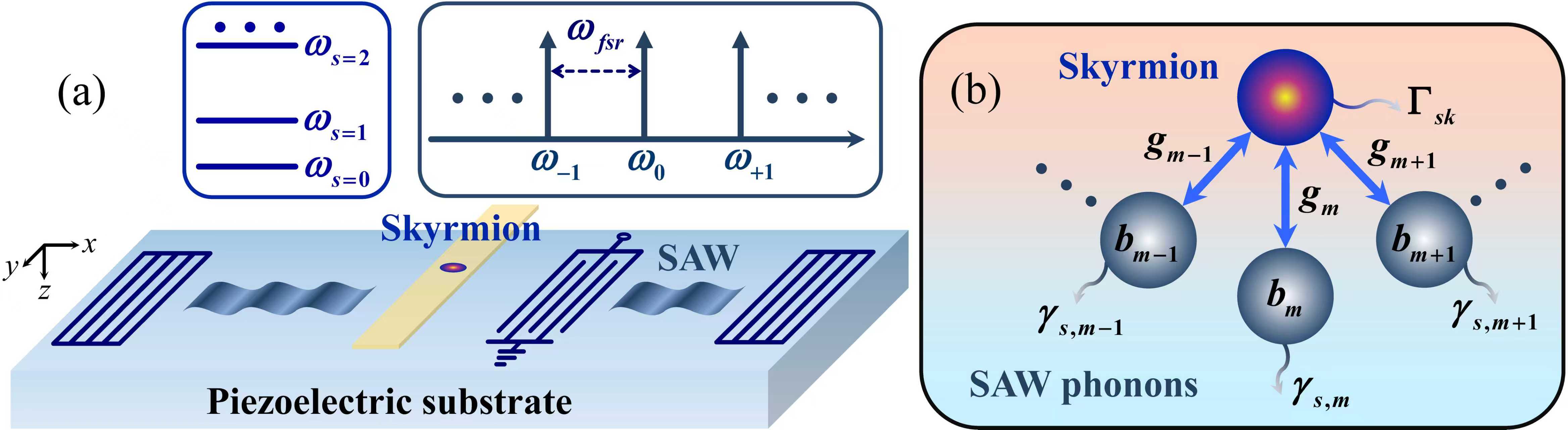 清华大学集成电路学院刘玉玺团队提出基于磁斯格明子量子比特与量子化表面声波的信息处理新方案