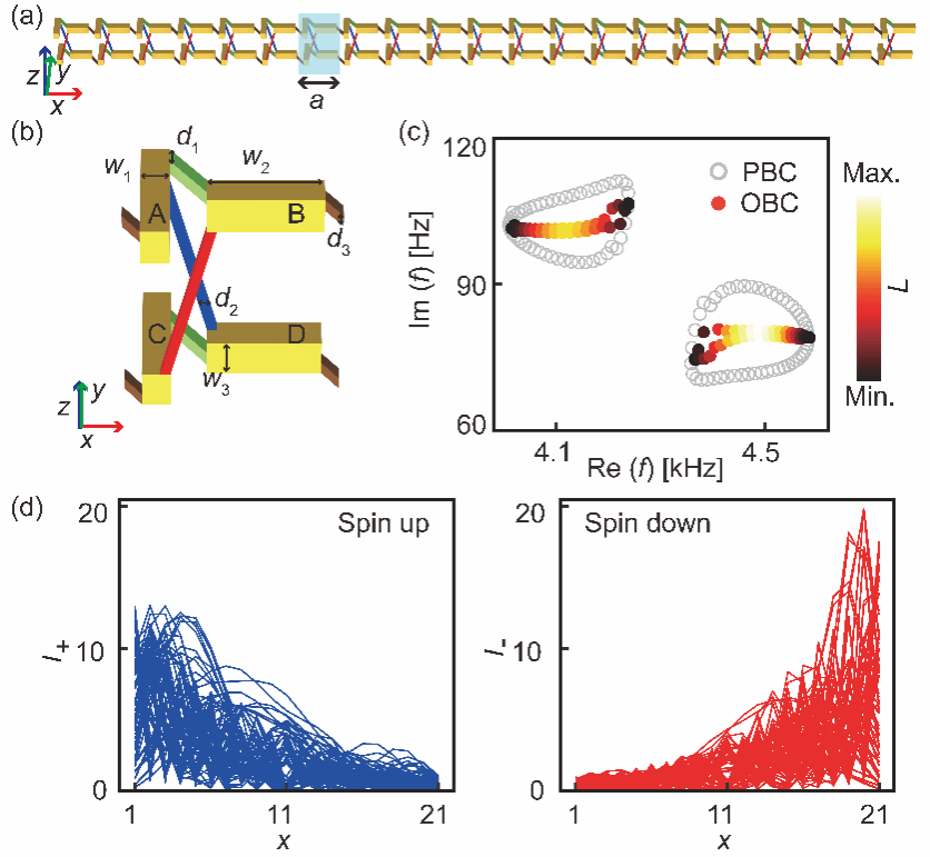 南京大学物理学院刘晓峻、程营课题组实现声学损耗引起的非厄米趋肤效应