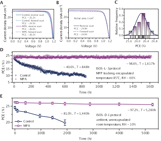 西安交大新年首篇《科学》！钙钛矿电池领域联合研究再次实现重大突破