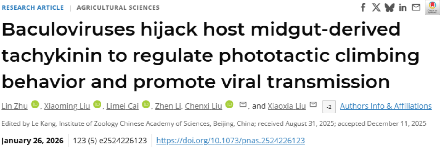 中国农业大学植保学院刘小侠、刘晨曦团队揭示核型多角体病毒调控鳞翅目幼虫上爬行为的神经机制