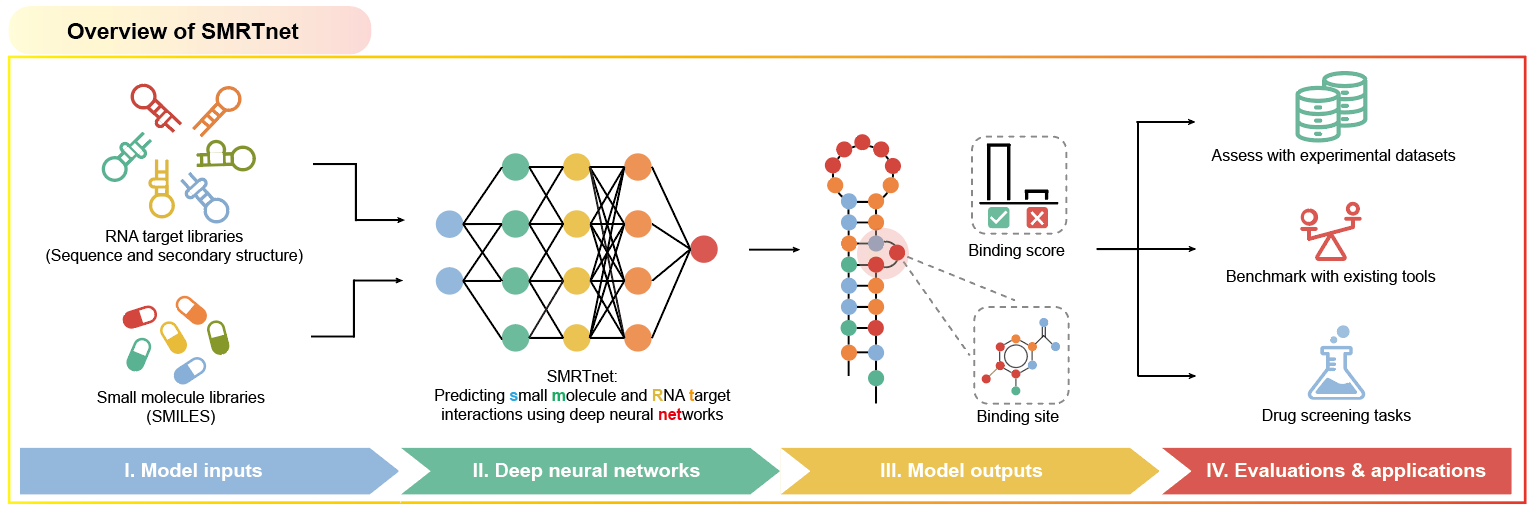 清华大学生命学院张强锋团队合作开发发现靶向RNA小分子药物的人工智能方法