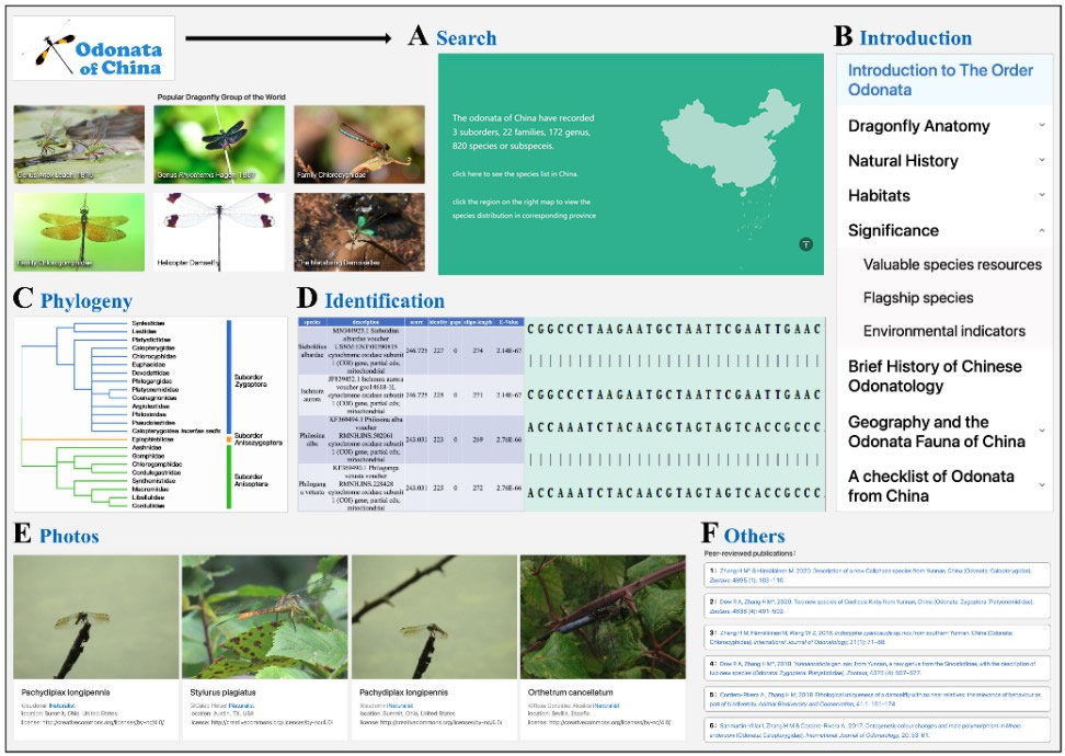 我国首个蜻蜓综合性参考数据库建立