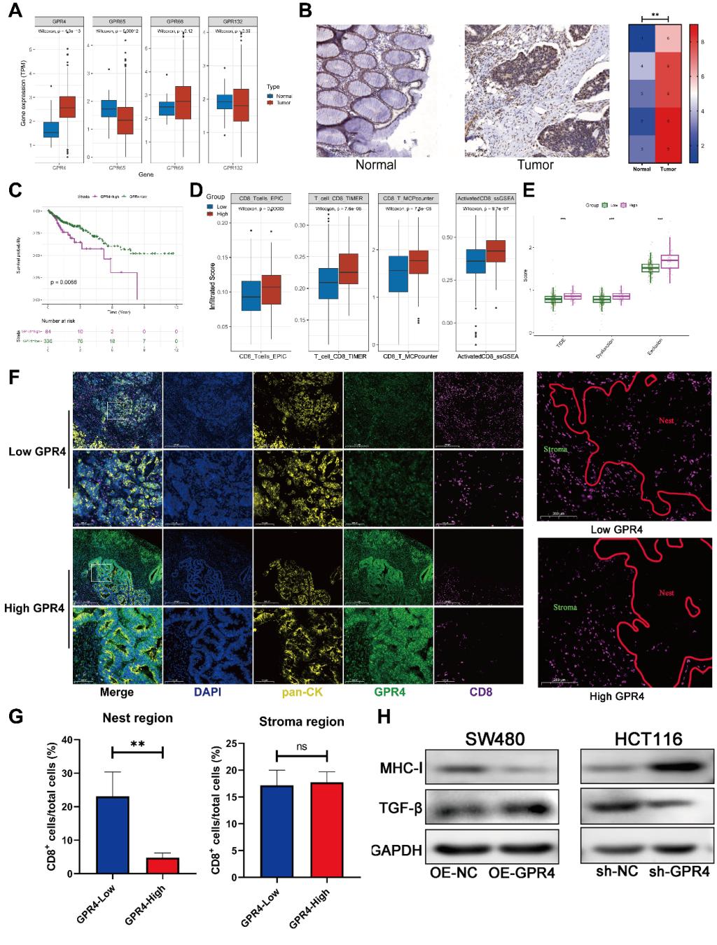 一附院任娟教授团队在Nature子刊发表研究成果