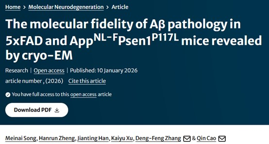 上海交大Bio-X研究院曹骎团队与合作者揭示两种AD小鼠脑中Aβ病理的分子保真性