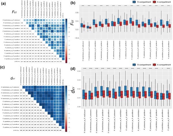 研究揭示杜鹃花属物种形成过程中基因流异质性与基因组结构关系