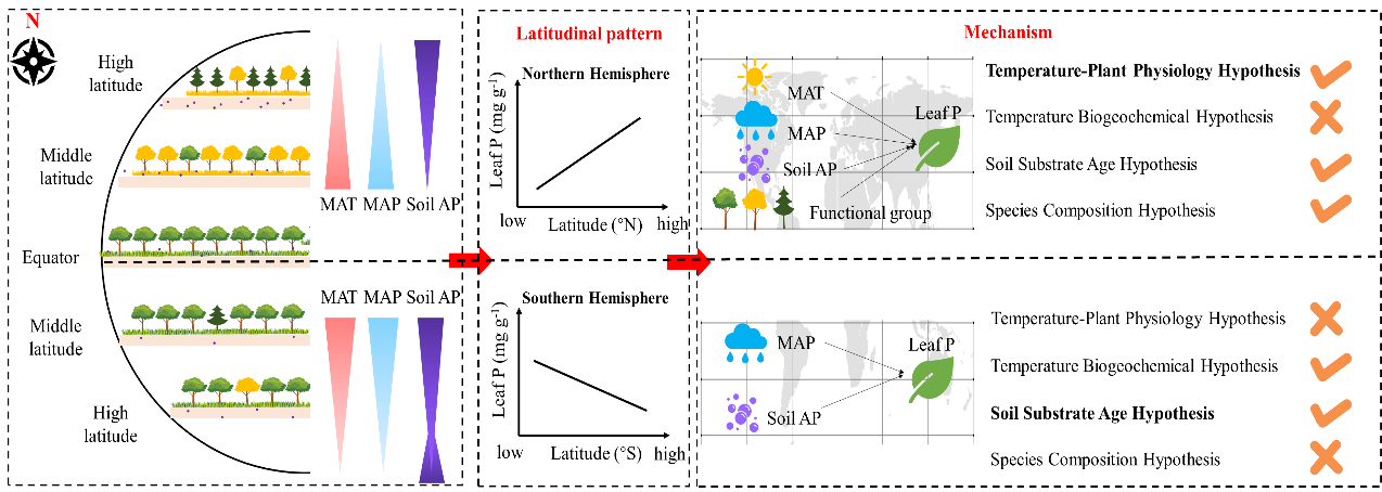 中国农业大学资环学院韩文轩教授课题组在植物磷元素生物地理方面取得新进展