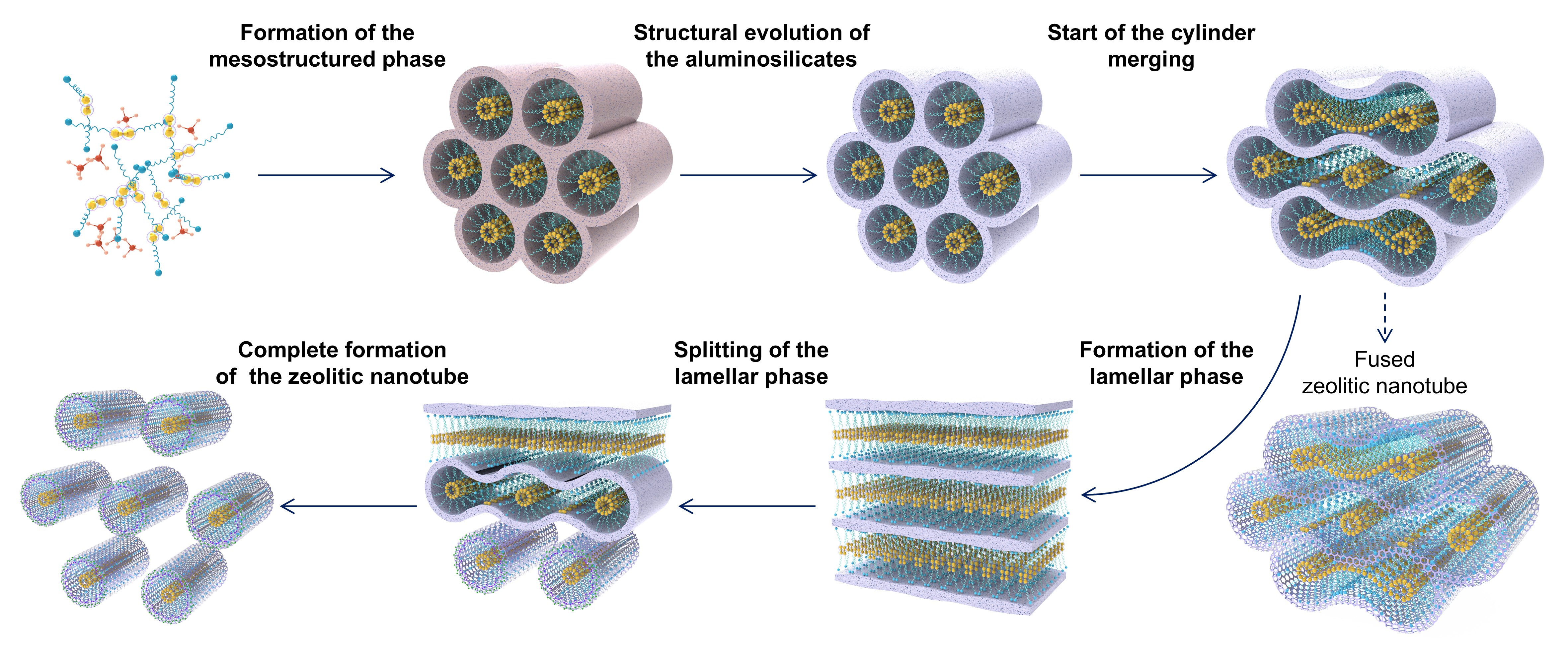 清华大学化工系刘振东课题组在单壁分子筛纳米管形成机制研究中取得新进展