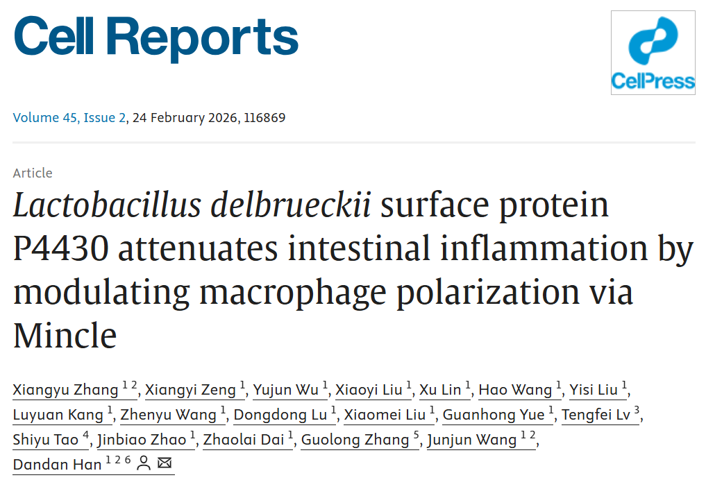 中国农业大学动科学院王军军教授团队揭示共生菌表面蛋白调控仔猪肠道健康的巨噬细胞介导机制