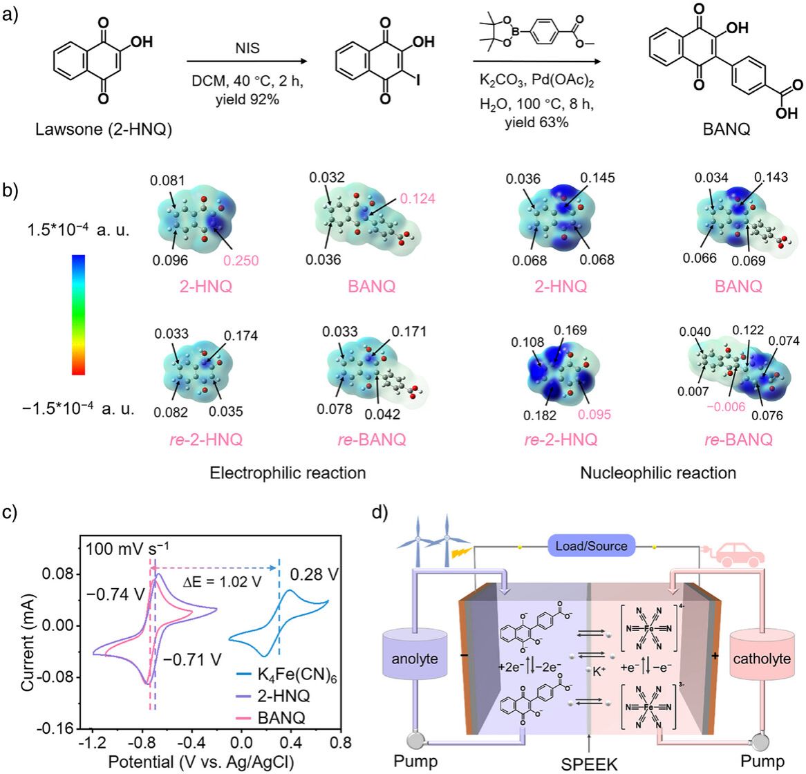南京大学化学学院金钟团队：不对称非平面π共轭修饰天然指甲花醌助力高稳定水系有机液流电池