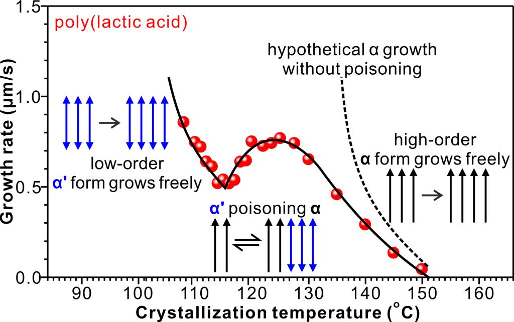 西安交大科研团队 在高分子结晶新机制—聚乳酸多晶相自中毒研究中取得重要进展