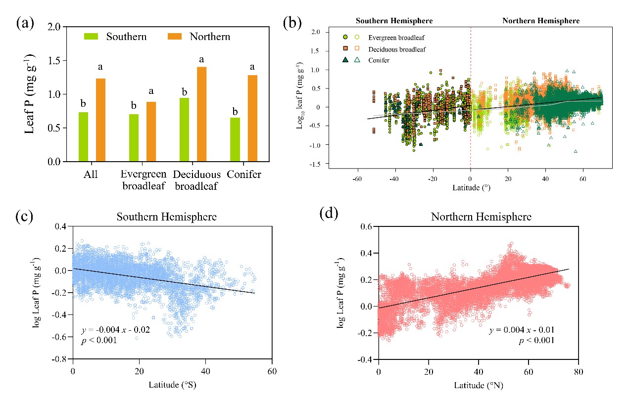 中国农业大学资环学院韩文轩教授课题组在植物磷元素生物地理方面取得新进展
