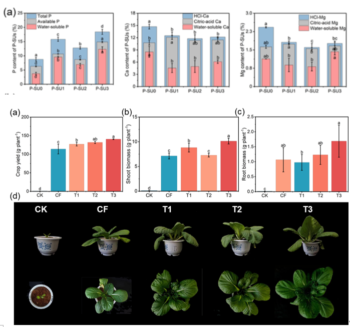 中国农业大学资环学院张福锁院士团队黄成东课题组在绿色智能肥料创新研究方面取得新进展